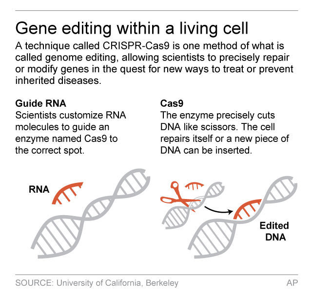 Gene editing